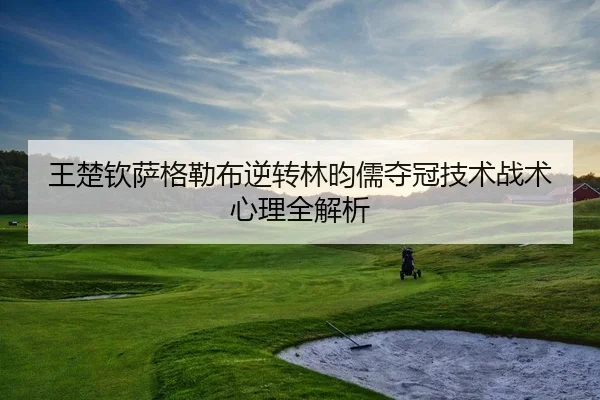 wang-chu-qin-sa-ge-lei-bu-ni-zhuan-lin-yun-ru-duo-guan-ji-shu-zhan-shu-xin-li-quan-jie-xi-2-888.jpg